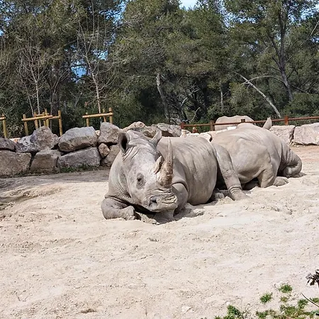 Apartmán Cosy Au Calme A Cote Du Zoo Avec Balcon Et Parking Securise