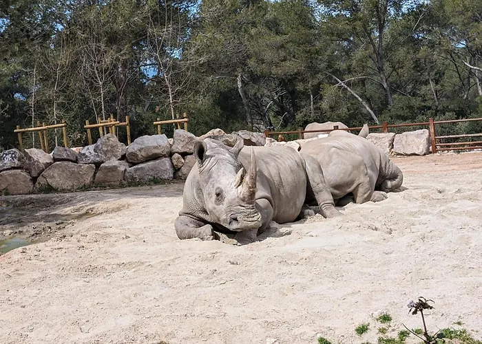 شقة Cosy Au Calme A Cote Du Zoo Avec Balcon Et Parking Securise