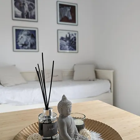 Apartament Cosy Au Calme A Cote Du Zoo Avec Balcon Et Parking Securise *
